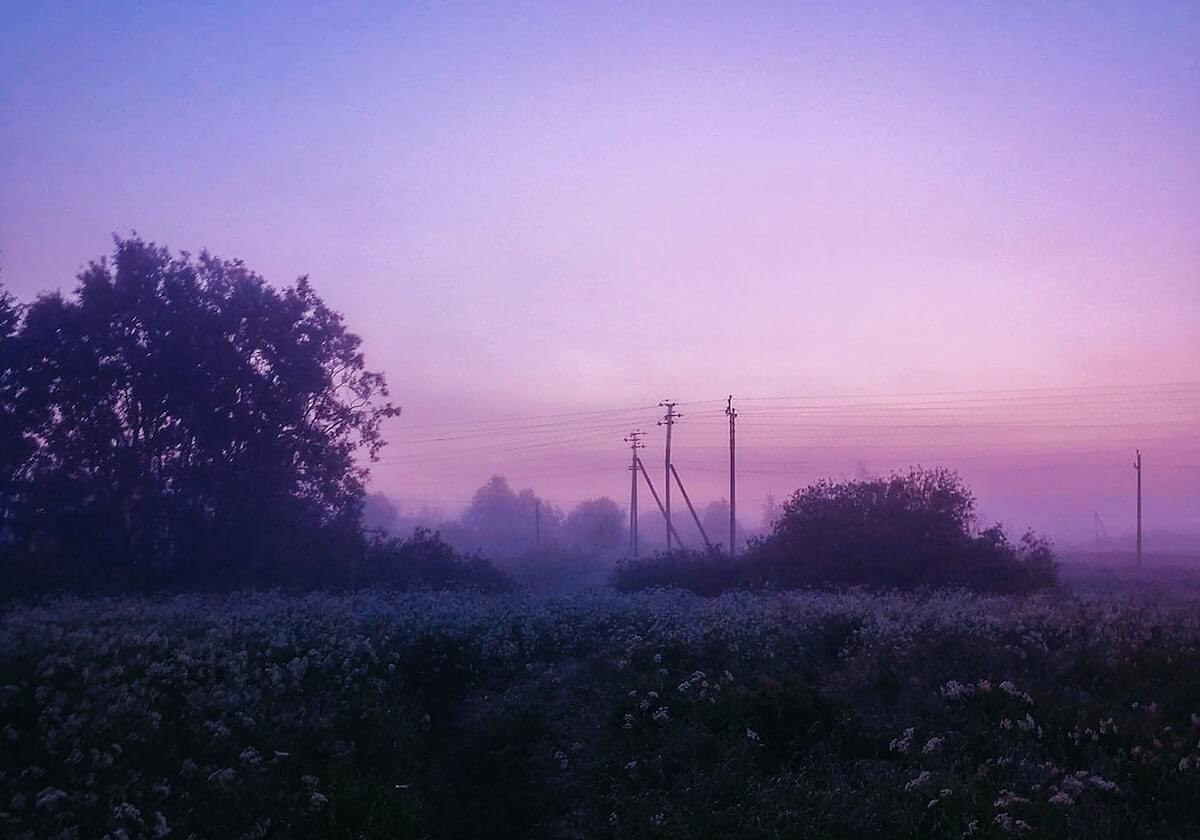 热刺和纽卡有意引进佛罗伦萨中场法乔利，已初步试探性接触